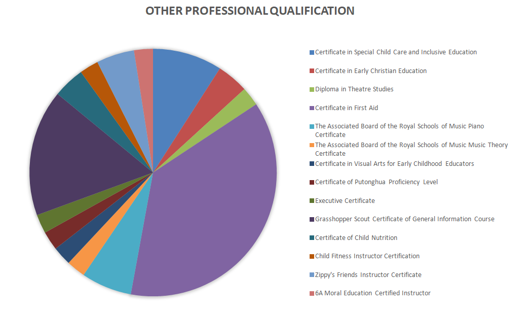 Other Professional Qualifications